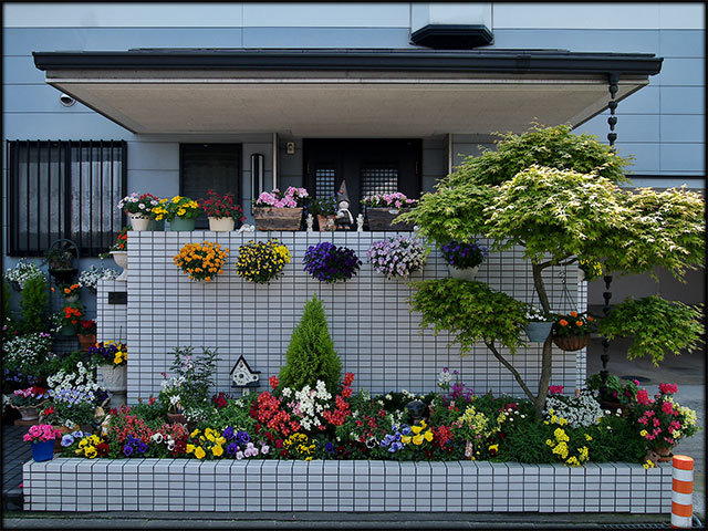 สวนกระถาง