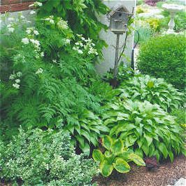 สวนในบ้าน