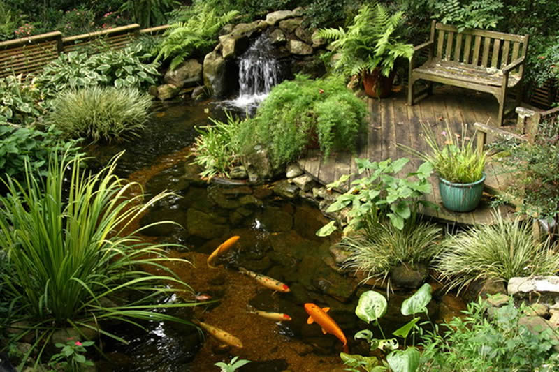 สวนน้ำในบ้าน