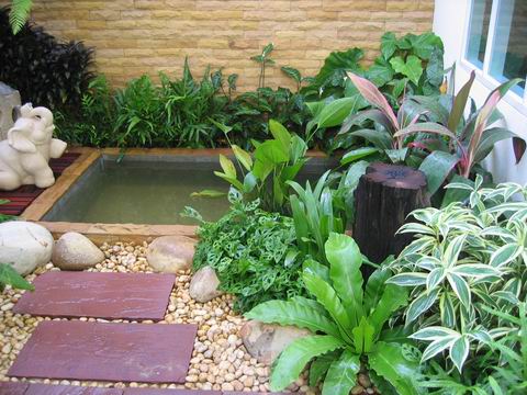 สวนน้ำภายนอกบ้าน 2