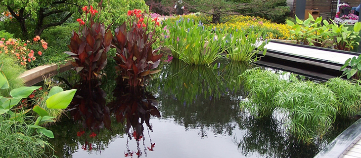 แบบสวนน้ํา