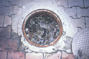 ระบบบ่อเกรอะ